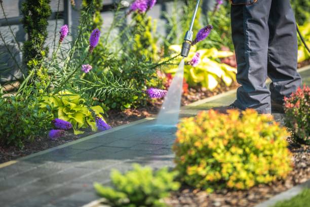 Best Sidewalk and Walkway Cleaning  in Ketchum, ID